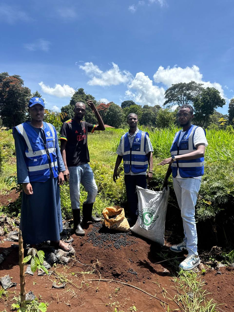 Reforestation project